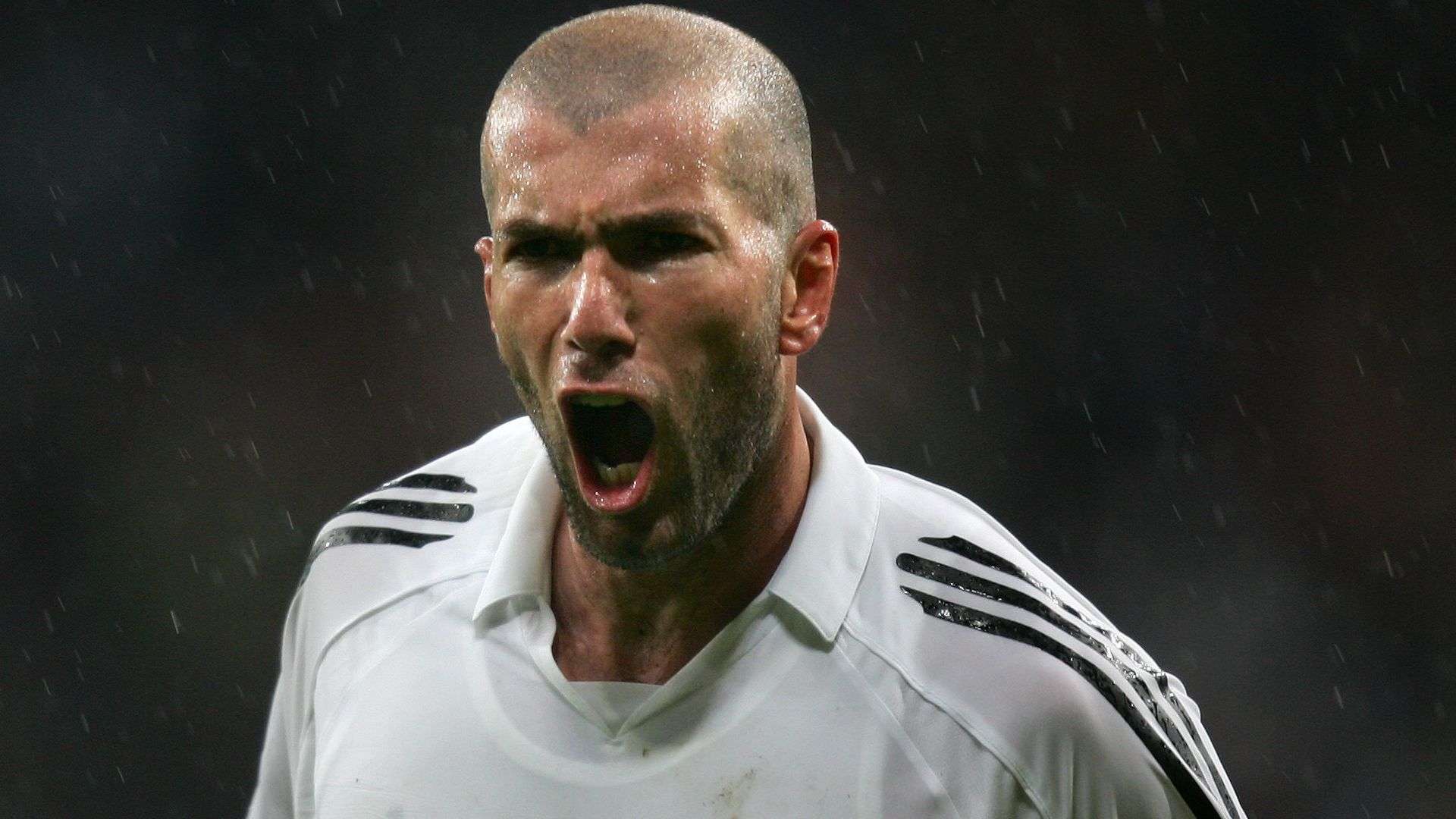 提供了保障 提供了保障